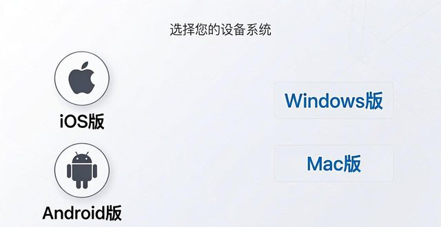 三步搞定TP官网APP下载，界面技巧全公开