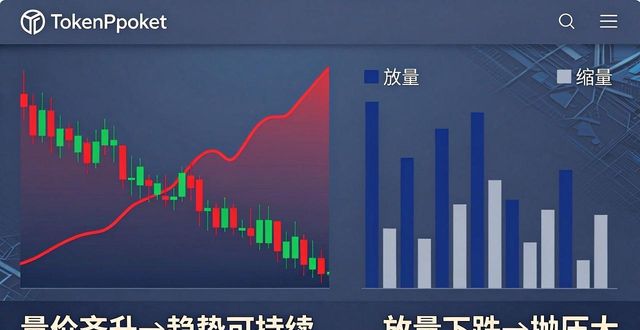 TokenPocket钱包行情数据怎么看 新手实用决策指南